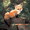 style6, variant on Paint by Number DIY Paint by Numbers Kit for Kids & Adults Beginner DIY Acrylic Painting Kits, 16x20 inch (Fox)