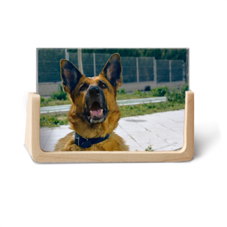 Handsome Dog Pet Photography Picture Photo Wooden Photo Frame Tabletop Display