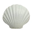 thumbnail image 6 of U.S. Shell Irish Deep Shell, 12 Pack, 6 of 8