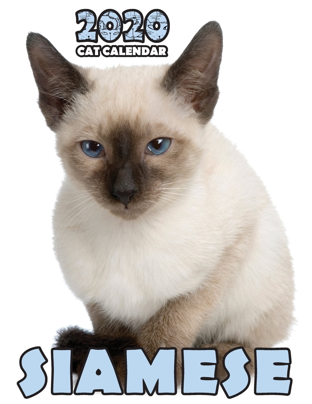 Siamese 2020 Cat Calendar Paperback Walmart Walmart