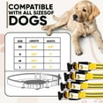 thumbnail image 7 of DOGGYLOVE LED Dog Collar – Lighted Collars for All Pets – USB Rechargeable Dog Collar for Pet Night Walking – Adjustable Light Up Dog Collar with Super Bright Safety - For Male/Female Dog (XS, Yellow), 7 of 7