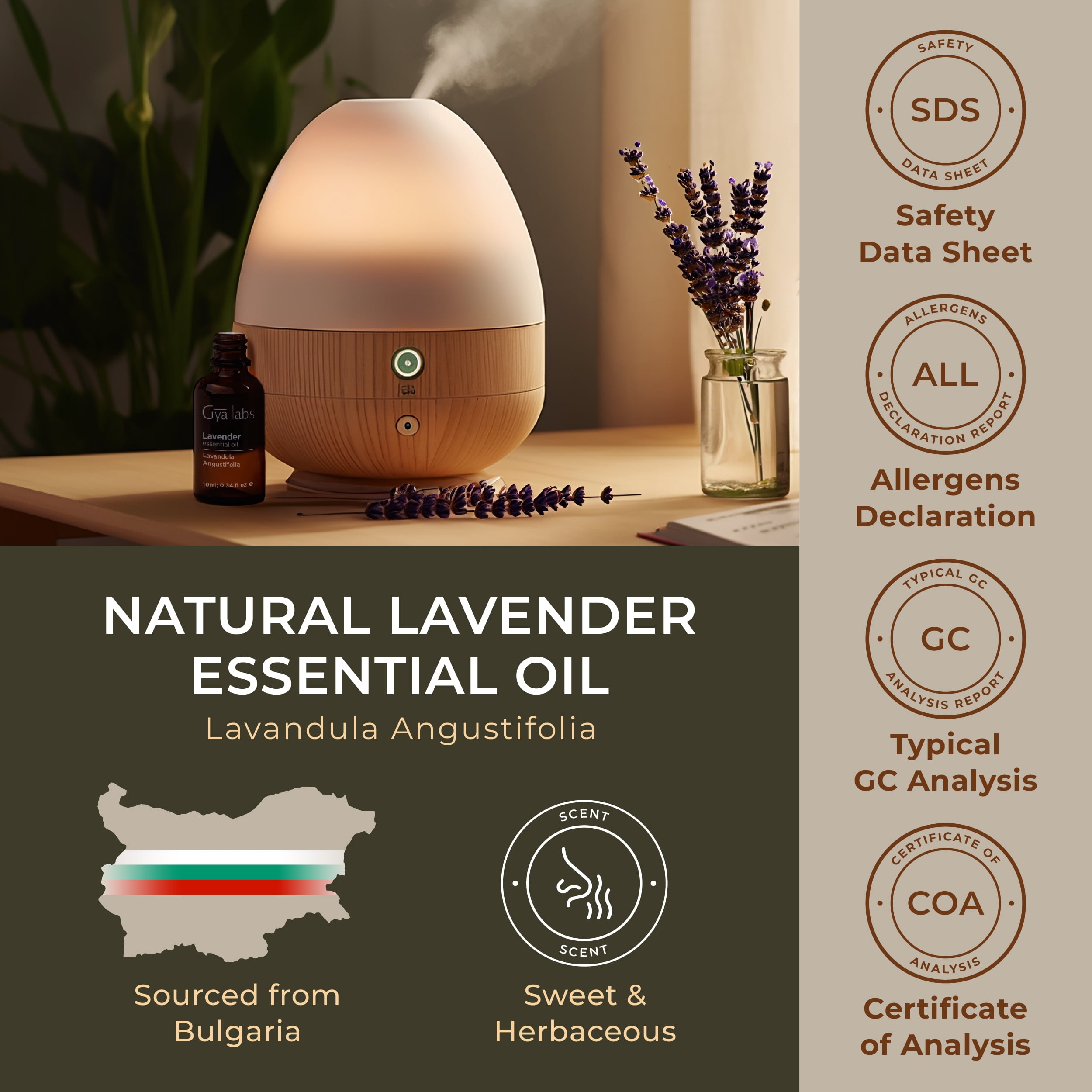 GetUSCart- Gya Labs English Lavender Oil Essential Oil for Diffuser-  Lavender Oil Essential Oils for Skin - Lavender Essential Oil for Hair  (0.34 Fl Oz)