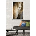 thumbnail image 2 of Beth Sheridan - Indian Elephant Wall Poster, 22.375" x 34", Framed, 2 of 3