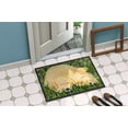 thumbnail image 4 of Carolines Treasures SS8838JMAT Paillasson Golden Retriever 24 x 36 Po., 4 of 4
