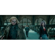 Harry Potter: The Complete 8-Film Collection (Blu-ray) (Standard Edition)