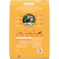 thumbnail image 3 of Iams Proactive Health Chicken And Whole Grain Recipe Dry Dog Food For Puppies, 15 Lb Bag, 3 of 12