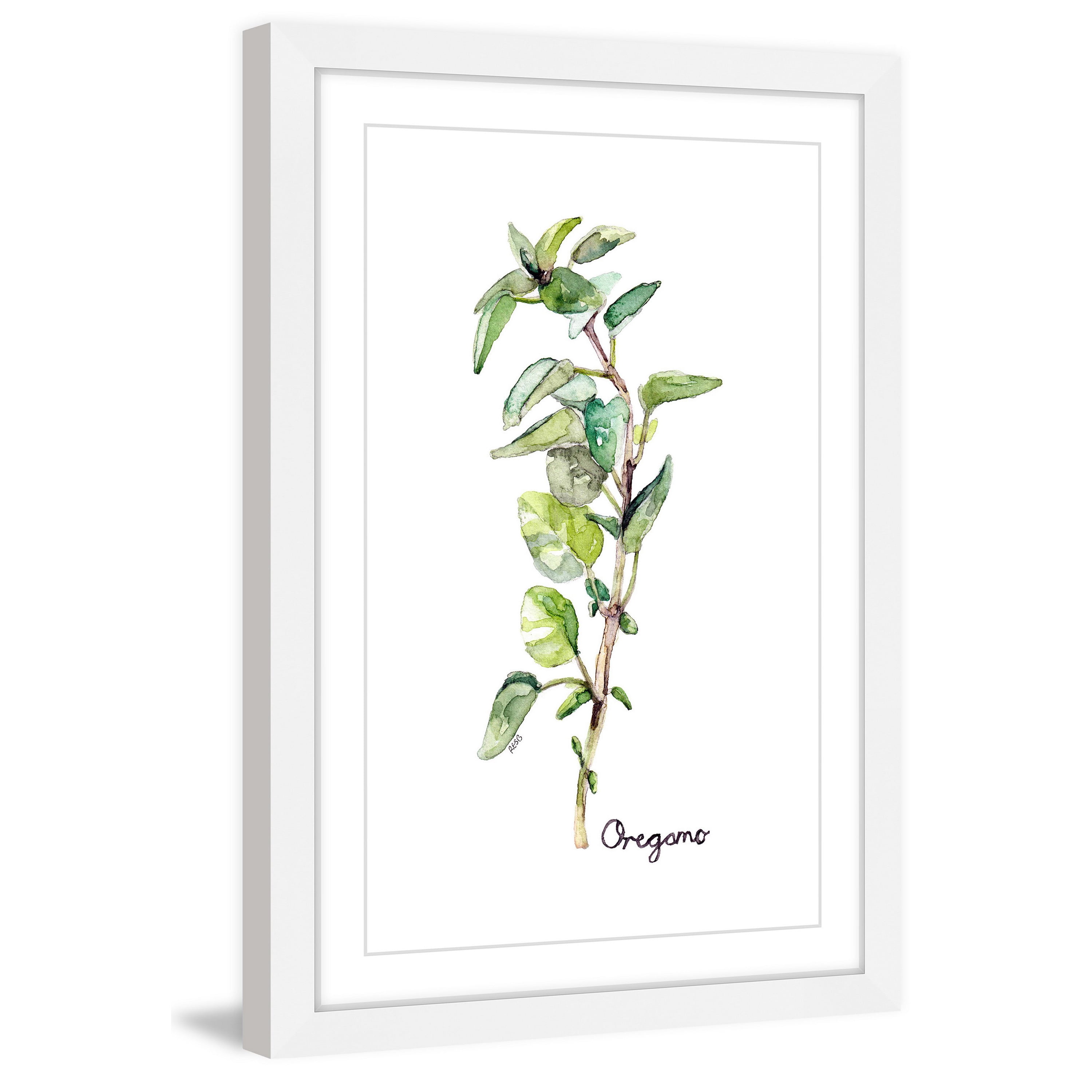 Marmont Hill "Herb Oregano" by Rachel Byler Framed Painting Print
