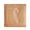 Tulip Type A, variant on SDFGTstore Tulip Flower Engraving Pie Molds Pie Press Mold Cookie Maker Dough Press Mold