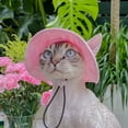 thumbnail image 6 of Minzimin Pet hat with Ear Holes Sunscreen Baseball Cap Suitable for Small and Medium-Sized Dogs Outdoor Climbing hat in Summer Pet Products  1Pack, 6 of 6
