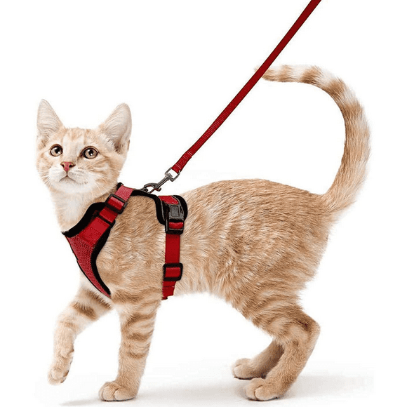 Cat Harness Small Dog Leash Kitten Harness Adjustable Red S Collar Reflective Cat Harness Breathable Vest for Rabbit, European Cat, Maine Coon, Persian, Clip on with Leash，JUN