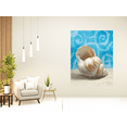 thumbnail image 2 of 18" Mod Blue Scroll Coastal Conch 1 Giclee Wrap Canvas Wall Art, 2 of 3