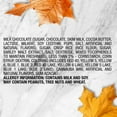 thumbnail image 5 of 2X-Dove Promises Milk Chocolate Pumpkins Halloween Candy - 8.87oz, 5 of 5