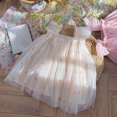 thumbnail image 3 of Hiijoy Infant Girls Tulle Dress Sleeveless Mesh Princess Tutu Dress, Sizes 6M-6Y, 3 of 4
