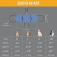thumbnail image 5 of Dog Carry Sling, Emergency Backpack Pet Legs Support Rehabilitation Dog (black) Lift Harness For Nail Trimming, Dog Carrier, 5 of 5