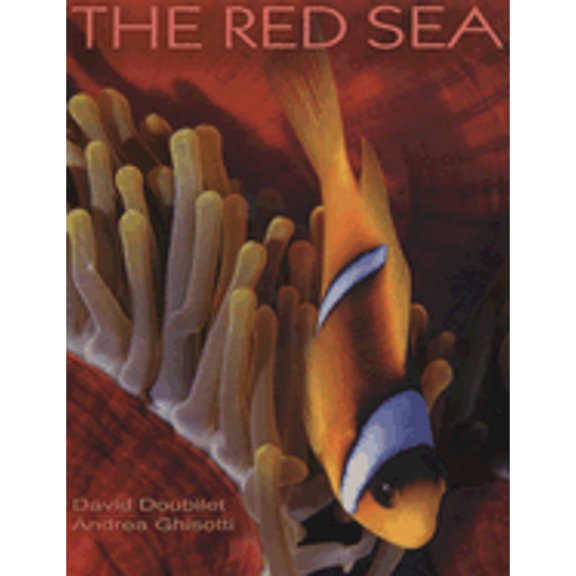 Pre-Owned The Red Sea (Hardcover) by Valeria Manferto, Professor Antony Shugaar, David Doubilet