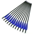 thumbnail image 2 of SAYFUT 20'' Crossbow Arrows/Bolts, Carbon Shaft Crossbow Arrows/ Bolts, Stainless Steel Screw-in Arrowhead Point Removable Tip Arrows, Pack of 12, 2 of 5