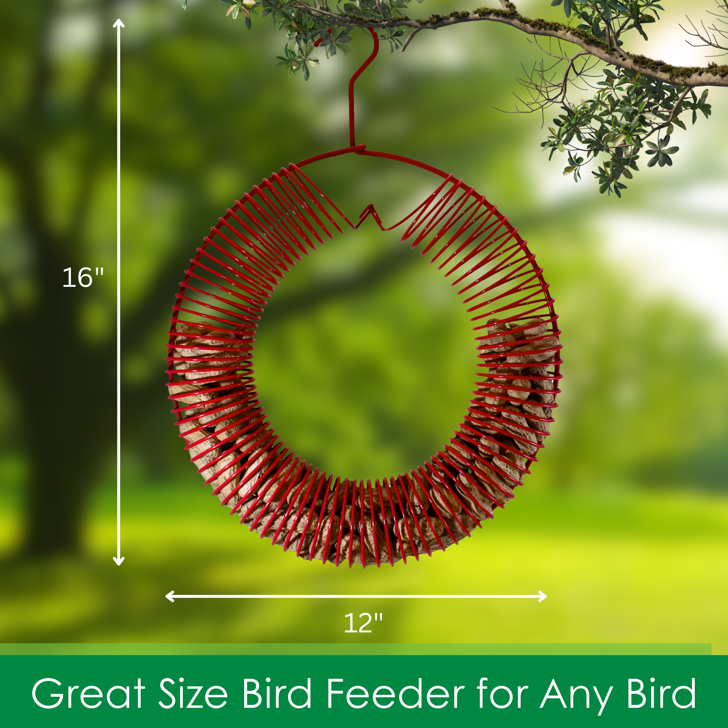 Songbird Essentials Bird Feeder Squirrel Feeder Whole Peanuts Wreath Red
