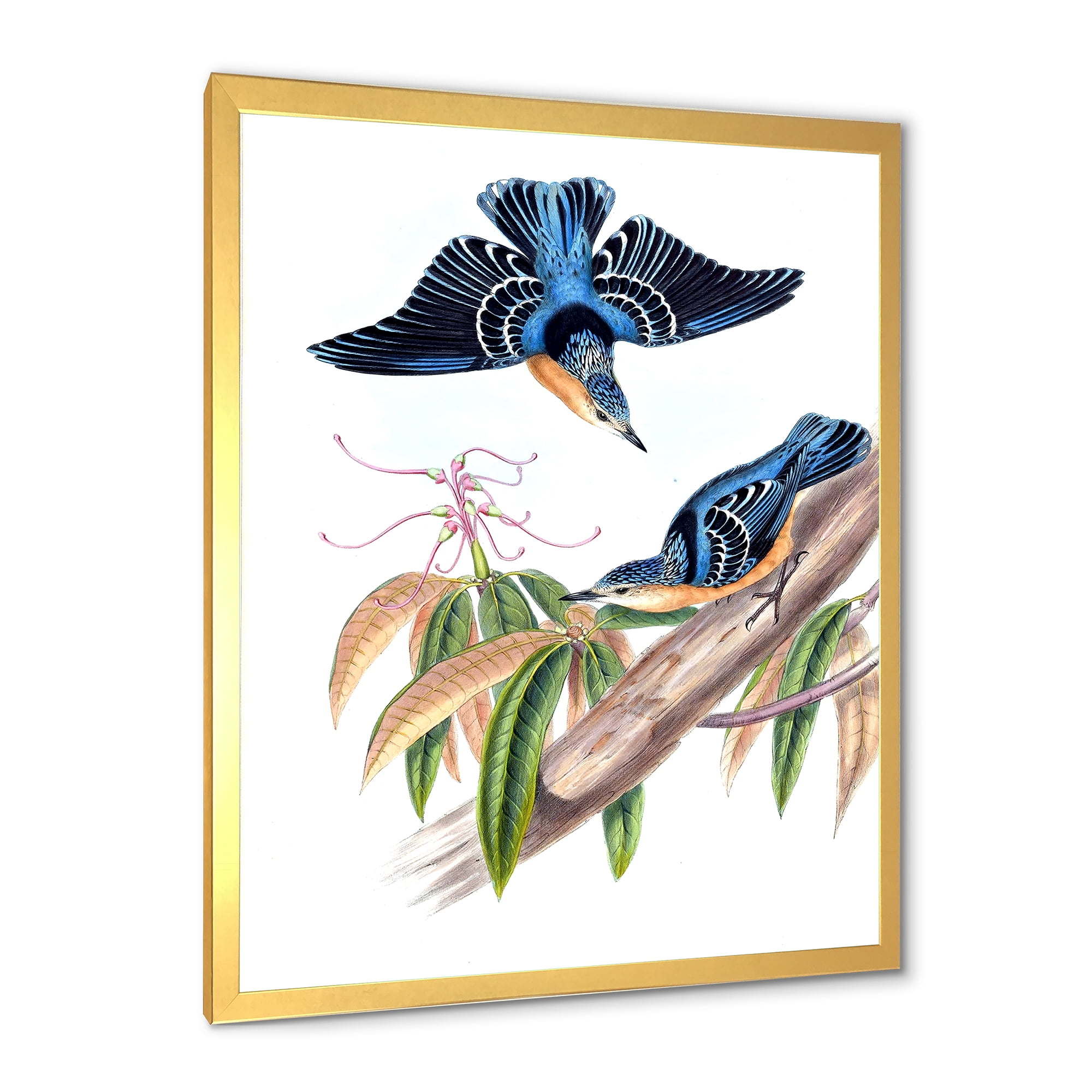 Designart 'Vintage Countryside Birds On Branch V' Farmhouse Framed Art Print