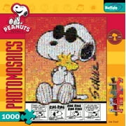1000pc Photomosaic Puzzle Ast