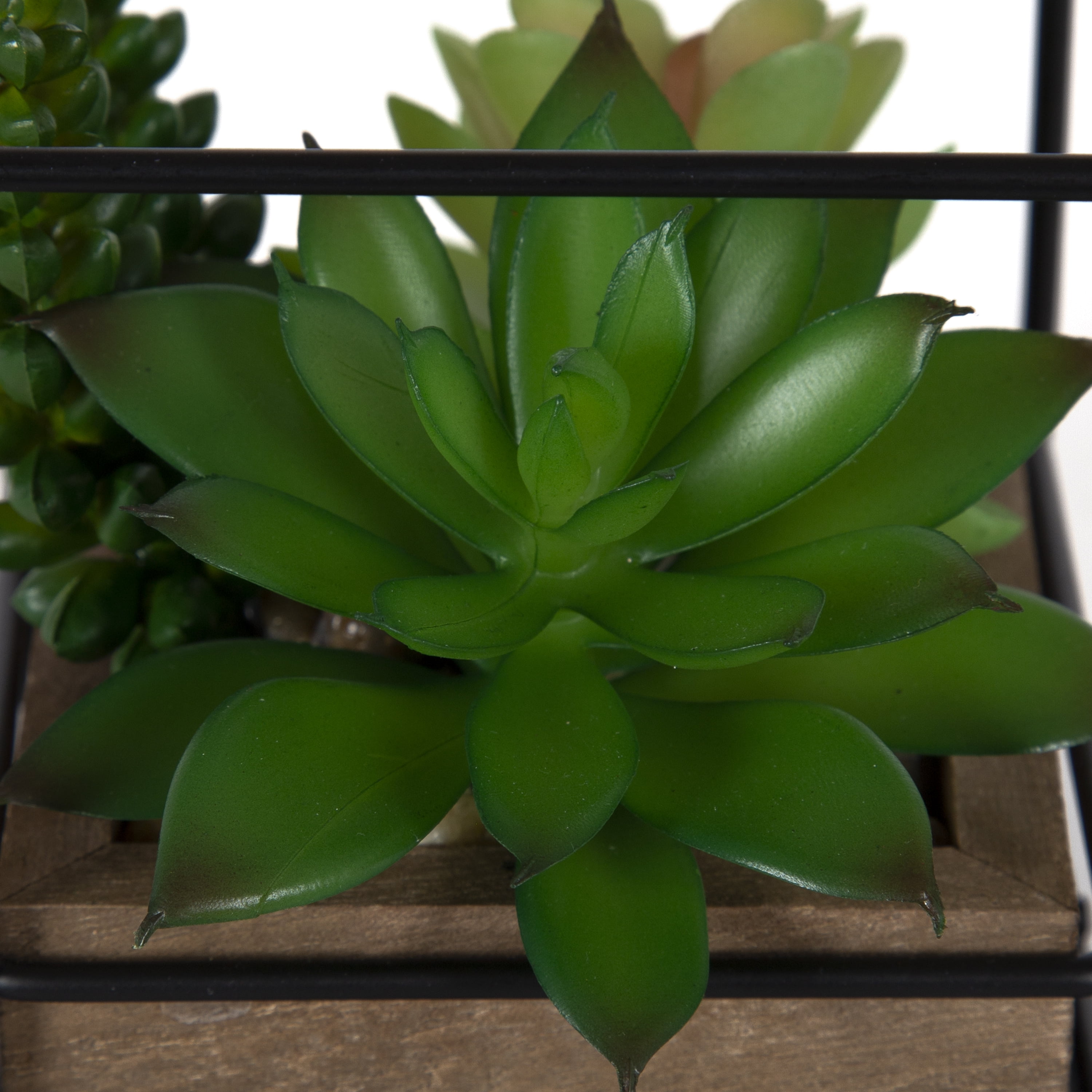 Mainstays 5.5" Artificial Mixed Succulents in Black Metal House Terrarium