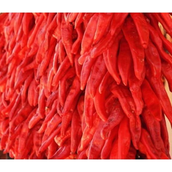 Big Jim NuMex Hot Pepper Seeds/ Annual/ Full Sun/50 Seeds 1/2 Gram/ Zellajake Farm and Garden - B183