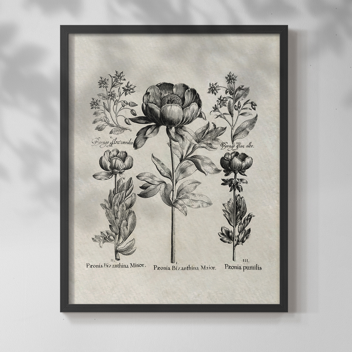 Vintage Floral Print CCCXXVIII - 14in. x 11in. Vintage Framed Print in Black Wood Frame