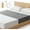Gray, variant on Grounding Sheets for Bed Earth Grounded Sheet Pad 10% Silver Fiber+90% Organic Cotton, for Queen, King and All Mattress Sizes, with Outlet Tester & Cord 110"*24" (Gray)