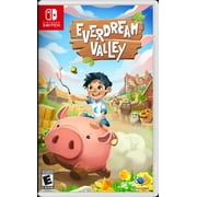 Everdream Valley, Nintendo Switch