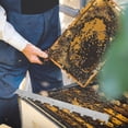 thumbnail image 4 of 2pcs Bee Hive Spacing Strip Bee Hive Metal Spacers Beekeeping Equipment, 4 of 9