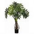 thumbnail image 2 of LPP716-GR 4 ft. Outdoor Plume Split Leaf 6L- P, 2 of 2
