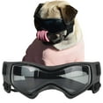 thumbnail image 1 of Gafas de sol para perros de razas pequeñas, con protección UV, resistentes al viento, con montura suave y correas ajustables, color negro., 1 of 5