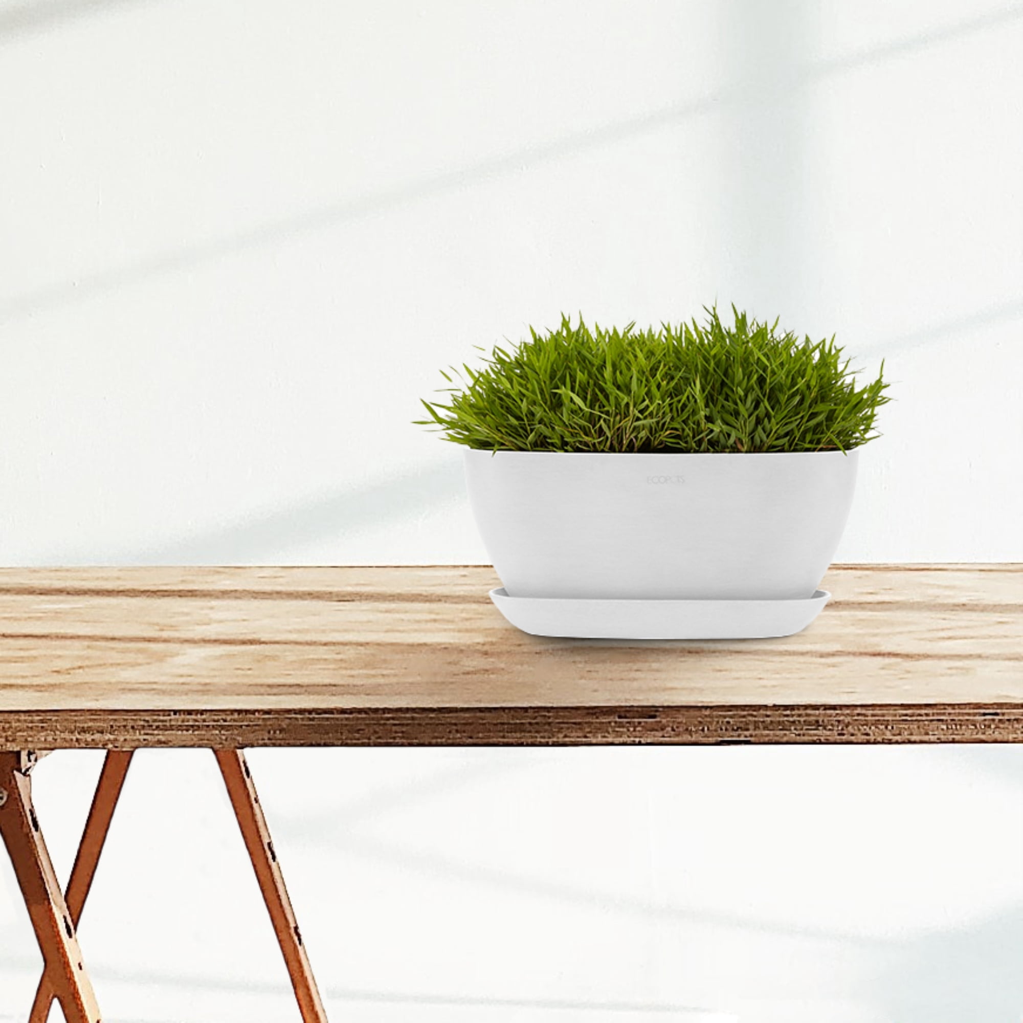 Ecopots Sofia Durable Modern Oval Indoor/Outdoor Recycled Based Composite Flower Pot Planter w/ Water Reservoir, Pure White, 12"