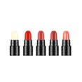 thumbnail image 1 of Kit de lápiz labial HengFang Juego de lápiz labial de 4 colores con cuidado de labios Labymos Lápiz labial, 1 of 7
