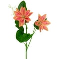 thumbnail image 5 of Northlight Real Touch™ Coral Orange Artificial Lotus Floral Sprays, Set of 6 - 25", 5 of 9