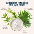 thumbnail image 4 of Live Conscious Hair La Vie Revitalizing Blend Hair Vitamins with Biotin, Collagen and Saw Palmetto for Women and Men, 4 of 10