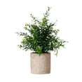 thumbnail image 1 of Mini planta falsa en maceta, decoración versátil, decoración realista, planta artificial para patio Estilo B, 1 of 9