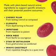 Bach RESCUE PASTILLES, Black Currant - 35 Count