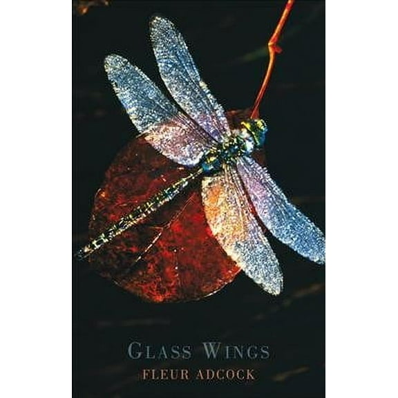 Glass Wings (Paperback)