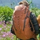 thumbnail image 2 of Mochila Para Backpacking Numa 45L - CAFE - TETON, 2 of 3