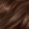 Medium Chestnut Brown