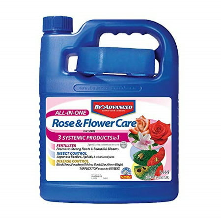 Bayer Advanced All-In-One Rose and Flower Care Concentrate, (Best Liquid Fertilizer For Roses)