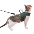 thumbnail image 1 of Juego de arnés y correa para gatos YIZHI MIAOW, verde liso, XXL, 1 of 8