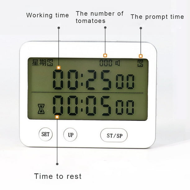 Time Timer TTMTT20W Minuterie analogique 