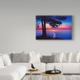 thumbnail image 3 of Trademark Fine Art 'Serenity' Canvas Art by Kirk Reinert, 3 of 3