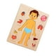 thumbnail image 4 of Juego de rompecabezas de madera del cuerpo humano para aprender las partes del cuerpo, tablero de actividades del cuerpo humano, esqueleto Chico, 4 of 9
