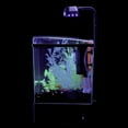 GloFish Betta Glass Aquarium Kit 1.5 Gallons, Easy Setup and