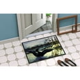 thumbnail image 4 of Carolines Treasures PTW2059JMAT Loon Country Door Mat Indoor Rug or Outdoor Welcome Mat 24x36 Doormat  36"L x 24"W, 4 of 4