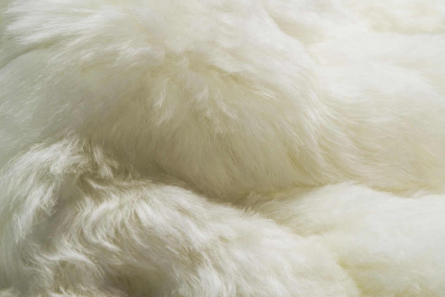 ICELANDIC SHEEPSKIN SHORT-HAIRED RUG 2' X 3'