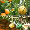 thumbnail image 6 of QARUN 2026 New 10 Pcs Sticky Fruit Fly Trap Ball Adhesive Fly Catching Ball Sticky Glue Fly Gnat Wasp Hornet Mosquito Bugs Flying Insects Trap Ball Traps,Yellow, 6 of 7