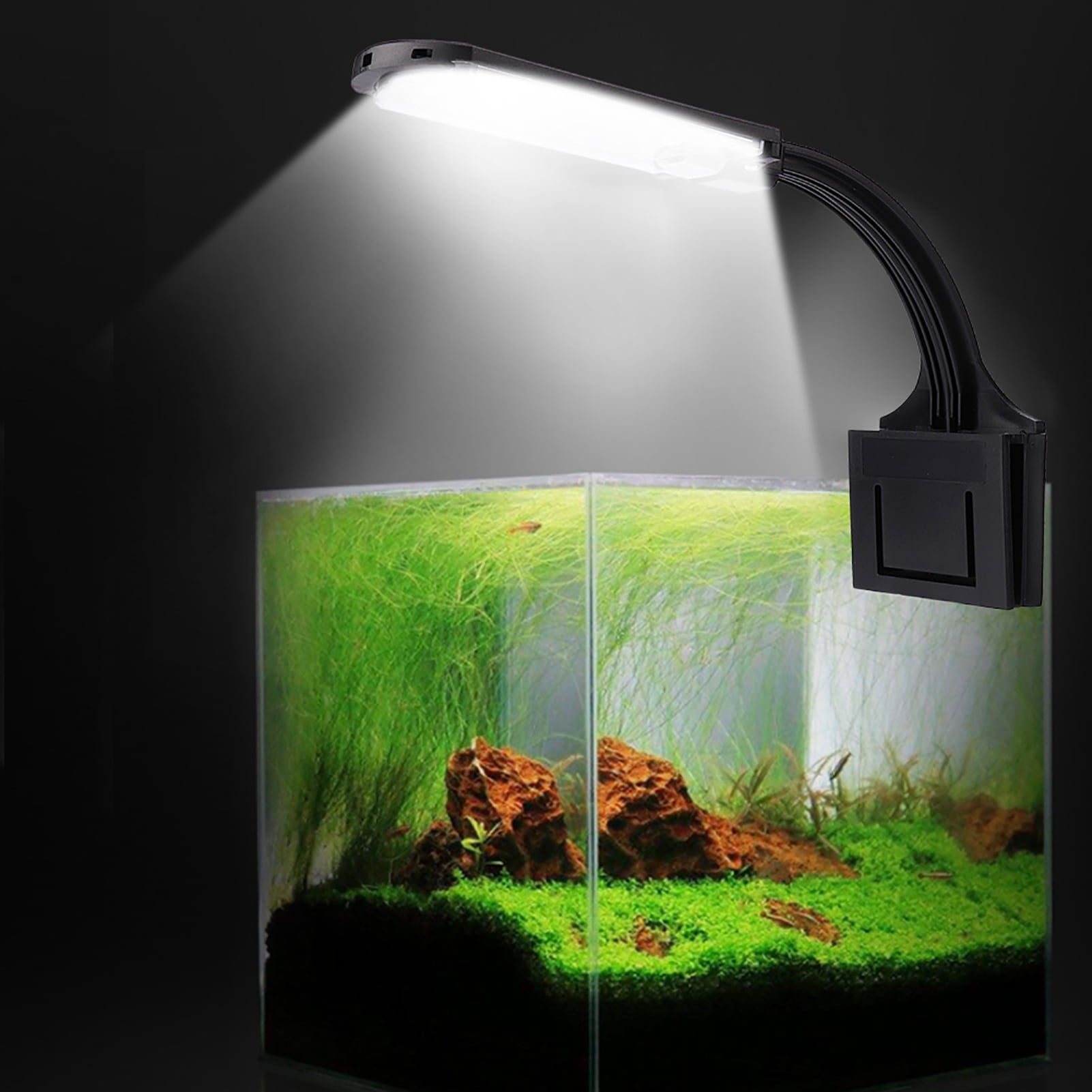 Led light for fish bowl online